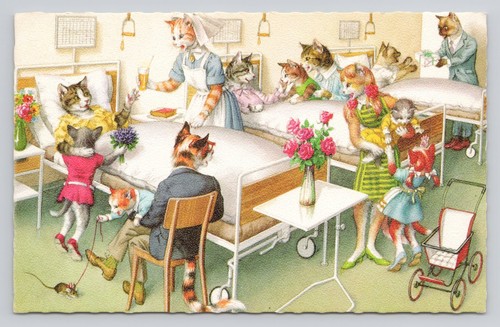 Cats hospital 4988 alfred - cats,